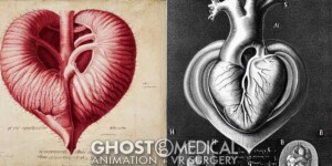 AI generated image of a human heart in the style of Annibale Carracci