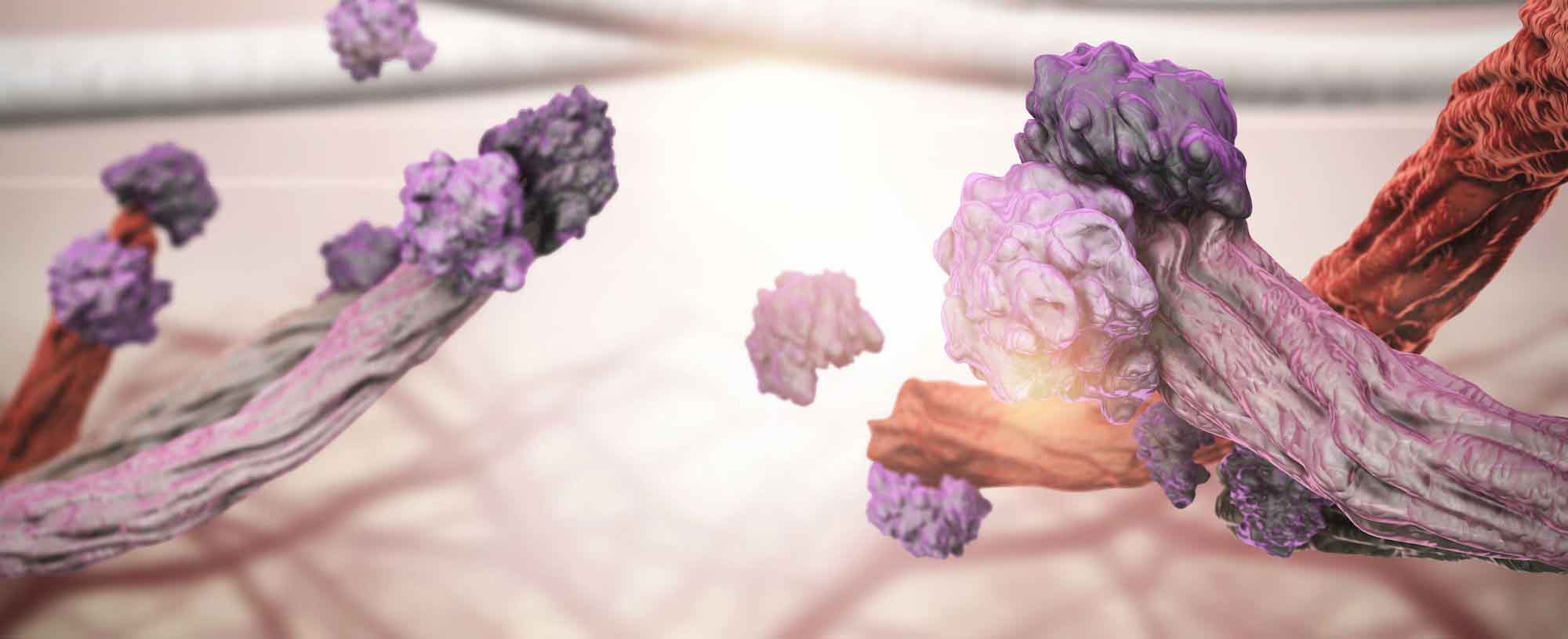 Extracellular Matrix Animation Case Study: Hollister Endoform