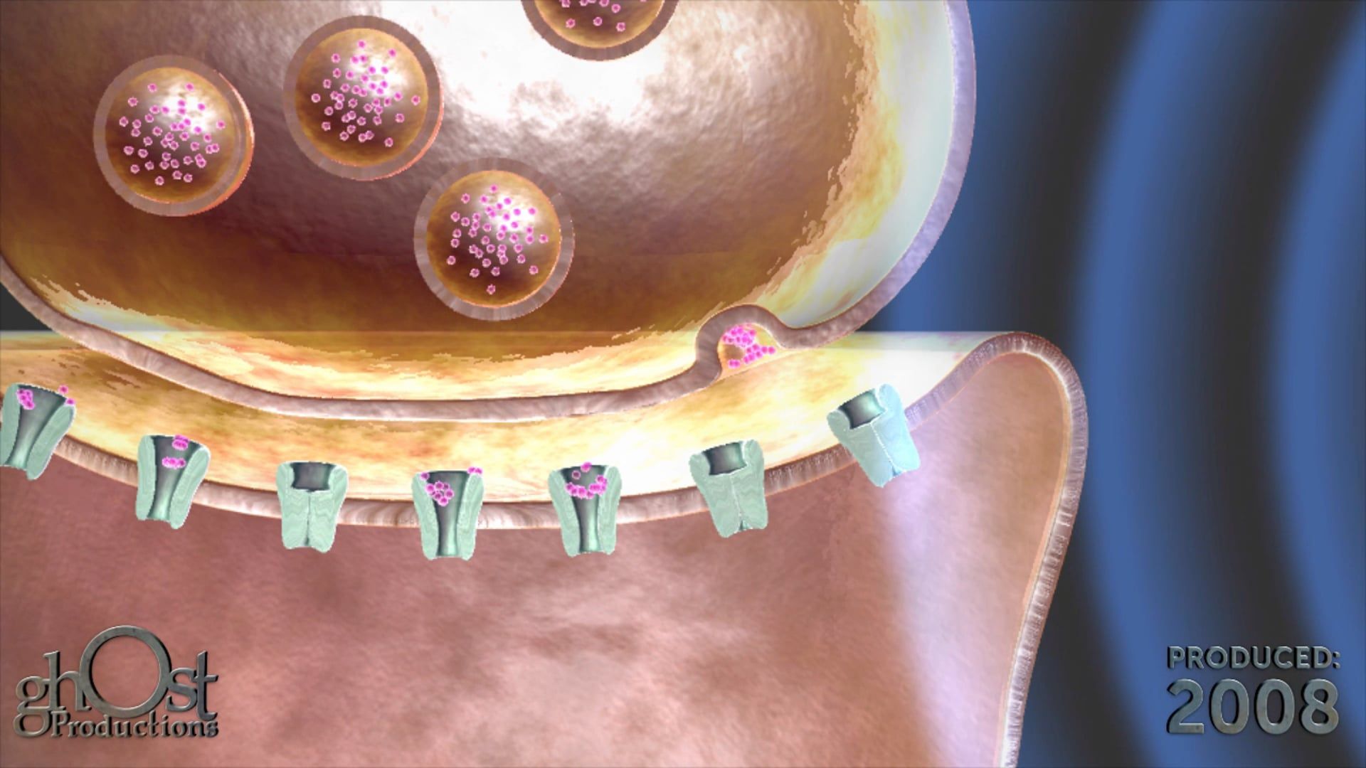 Empi TENS: A Ghost Medical Animation