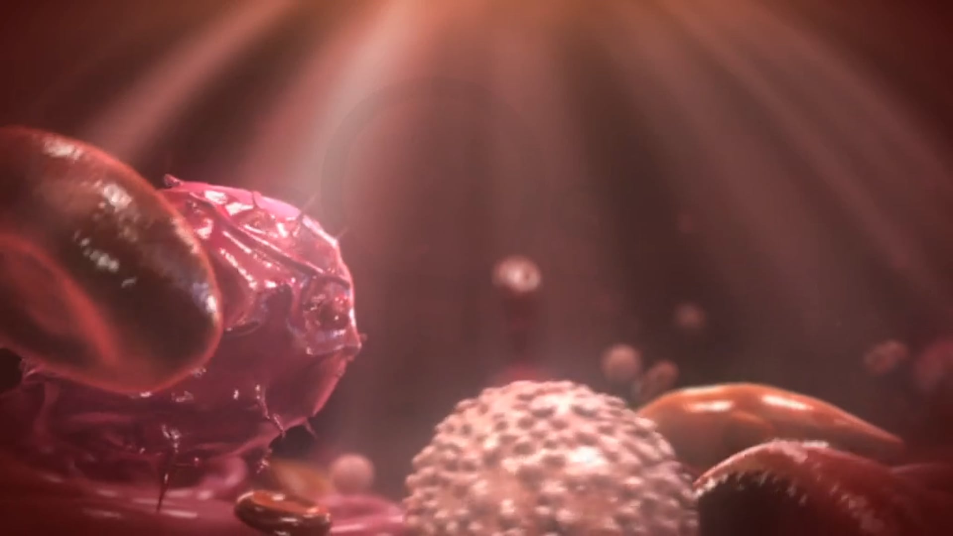 Ghost Medical Presents: Pioneer Cymbol