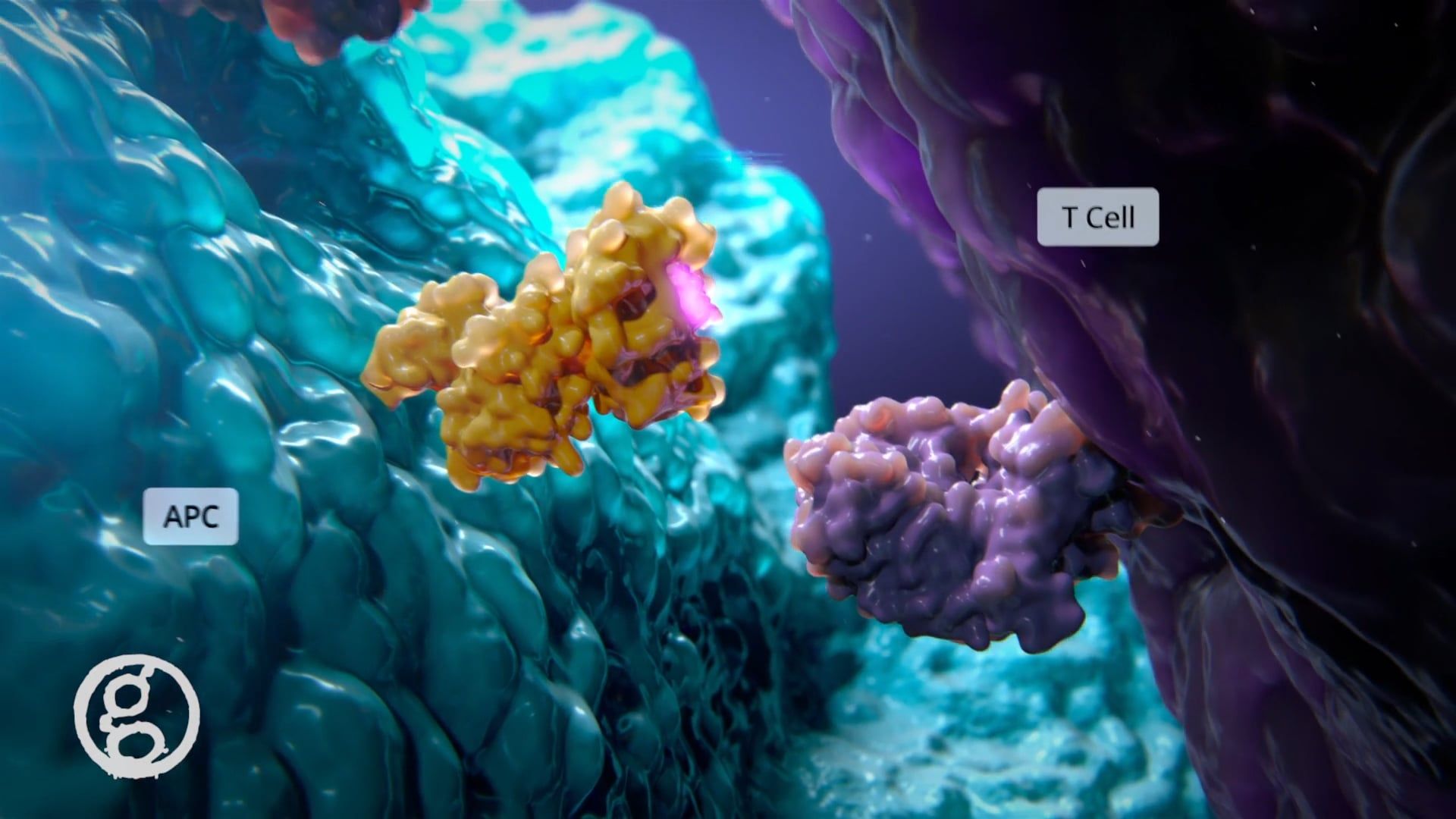 Ghost Medical's NanoNeedle MOA Animation