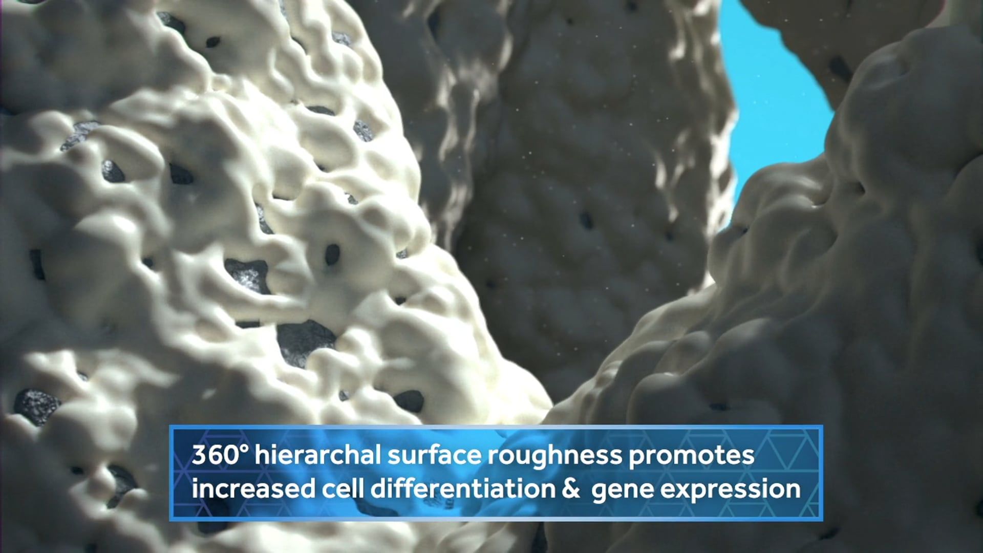 Ghost Medical's 4Web Truss Interbody System Animation