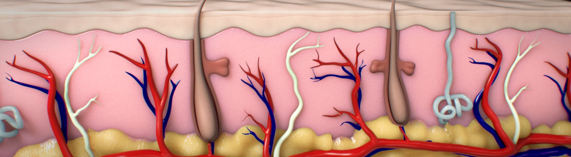 3M Hollow Microneedle System, Tissue Deployment, Animation, Ghost Productions, medical procedures, hMTS, precision, cutting-edge technology, innovative system, medical specialty, dermatology, client name 3M