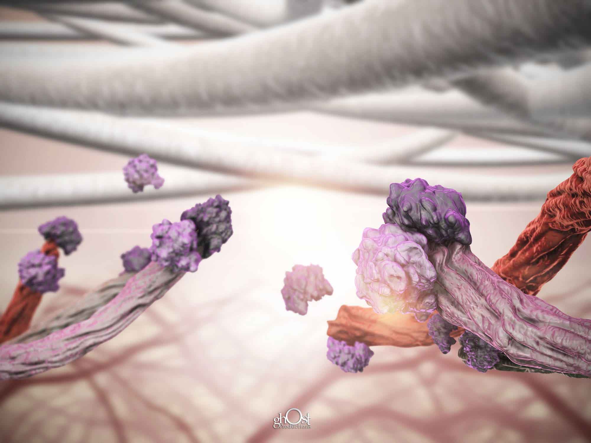 Hollister Endoform, extracellular matrix, wound healing, natural scaffold, cells, tissue repair, regeneration, inflammation, scarring, chronic wounds, burns, surgical incisions, collagen, proteins, medical specialties: dermatology, plastic surgery, wound care, general surgery, podiatry, orthopedics, vascular surgery, plastic and reconstructive surgery, infectious disease, emergency medicine.