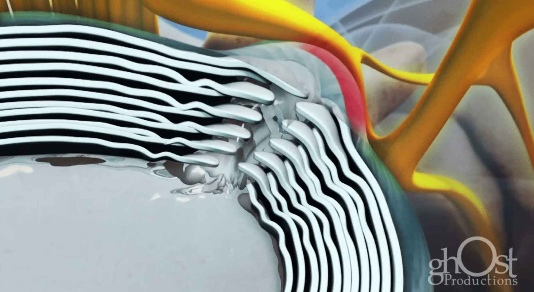 spine, cross-section, herniated disk, vertebrae, nerves, pain, discomfort, medical specialties: orthopedics, neurology, physical therapy, chiropractic, pain management, radiology