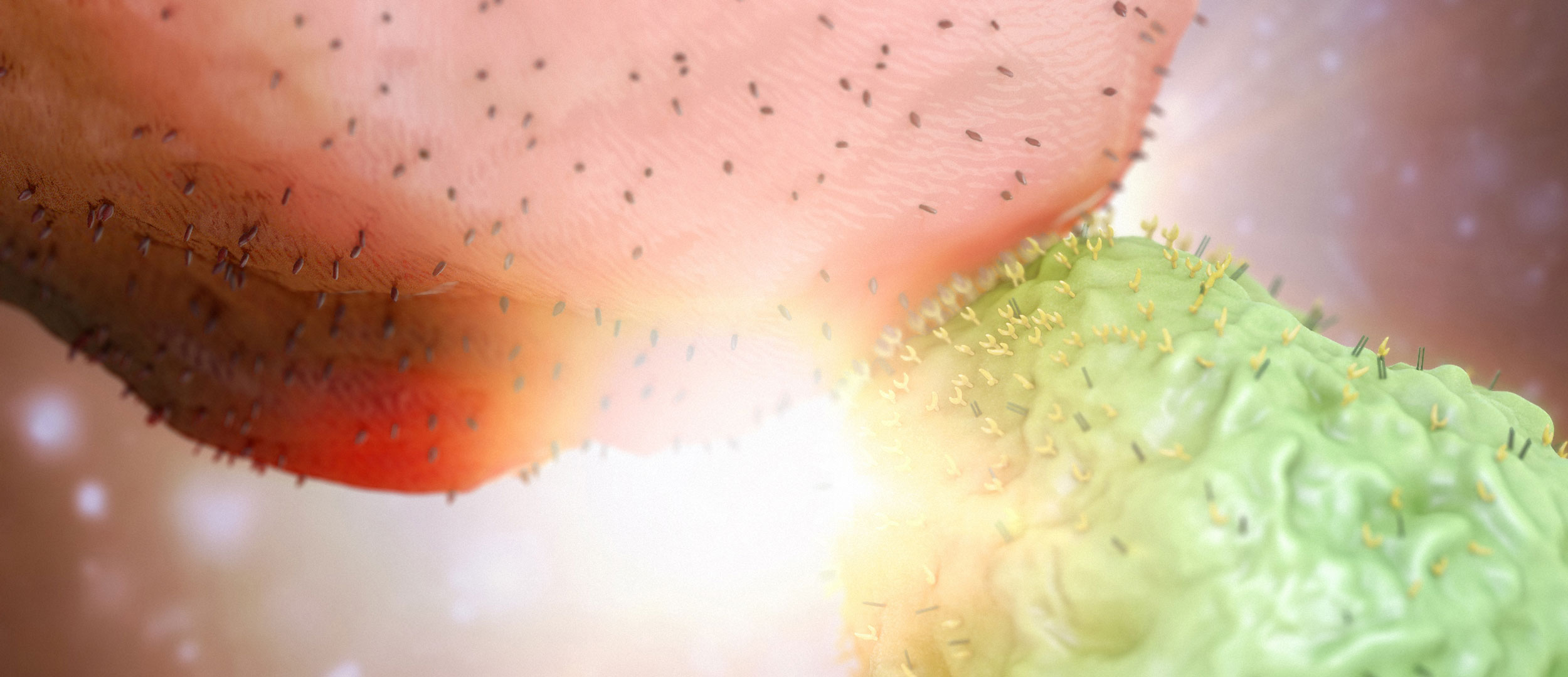 drug interactions, pharmacology, medications, healthcare professionals, students, understanding, mechanisms, Ghost Medical Animation, VR Surgery, medical specialties, cardiology, endocrinology, gastroenterology, neurology, oncology, psychiatry, pulmonology, rheumatology.