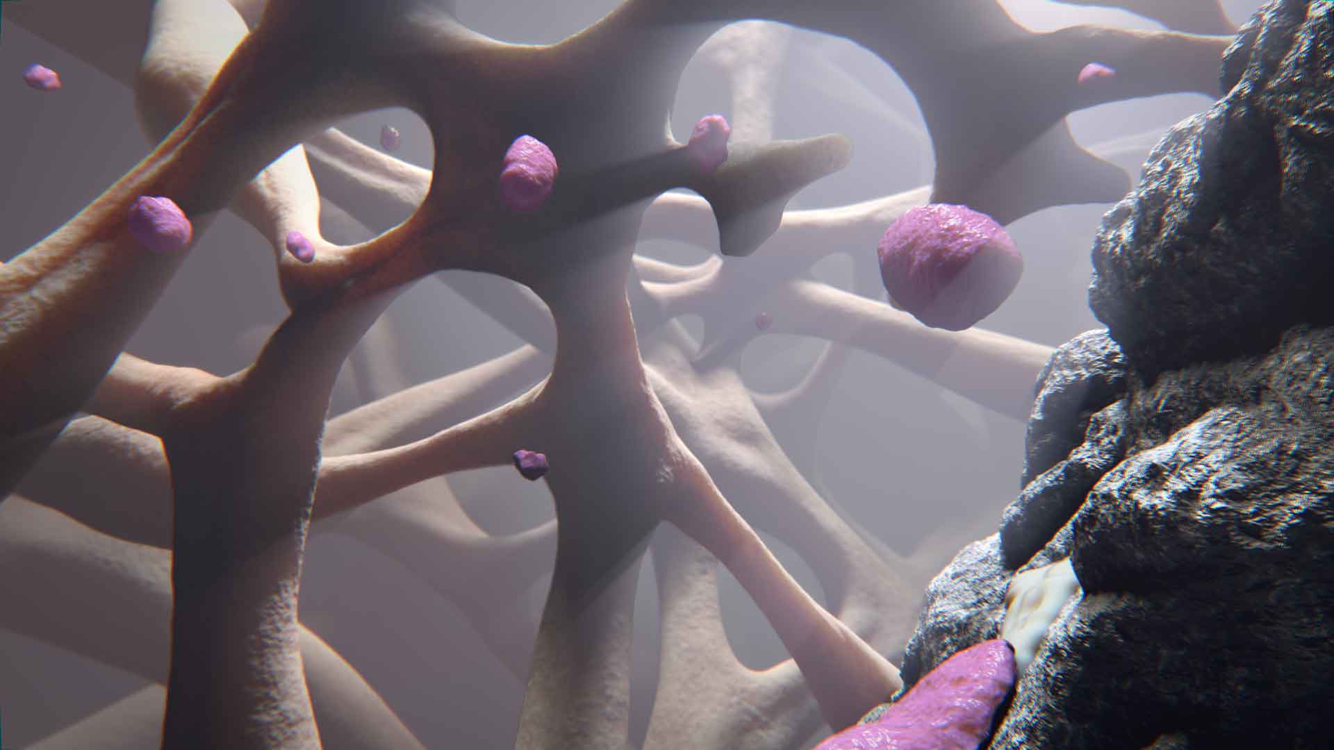 A dental implant is shown being placed into the jawbone, where it fuses with the surrounding bone tissue over time through osseointegration. This creates a strong and stable foundation for the implant, allowing it to function like a natural tooth. The image emphasizes the importance of osseointegration for the long-term success of dental implants and restoration of oral health.