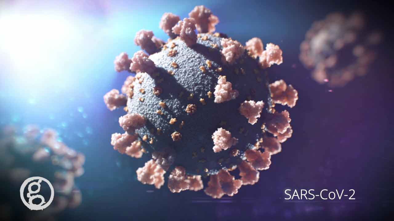 High-resolution medical illustration of the Sars-COVID-2 virus responsible for COVID-19 pandemic. Shows intricate structure, including spike proteins and lipid envelope. Valuable resource for researchers and healthcare professionals combating global health crisis.