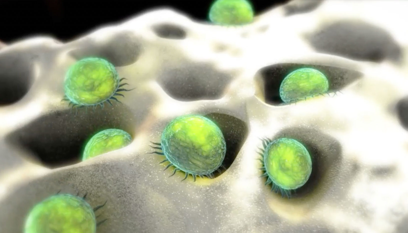 Biomatlante MBCP Synthetic Bone Graft Substitute, regenerative medicine, mesenchymal stem cells, osteoblasts, bone growth, cellular level, orthopedics, neurosurgery, plastic surgery, maxillofacial surgery, periodontics, endodontics, prosthodontics, oral and maxillofacial pathology, dentistry, veterinary medicine.