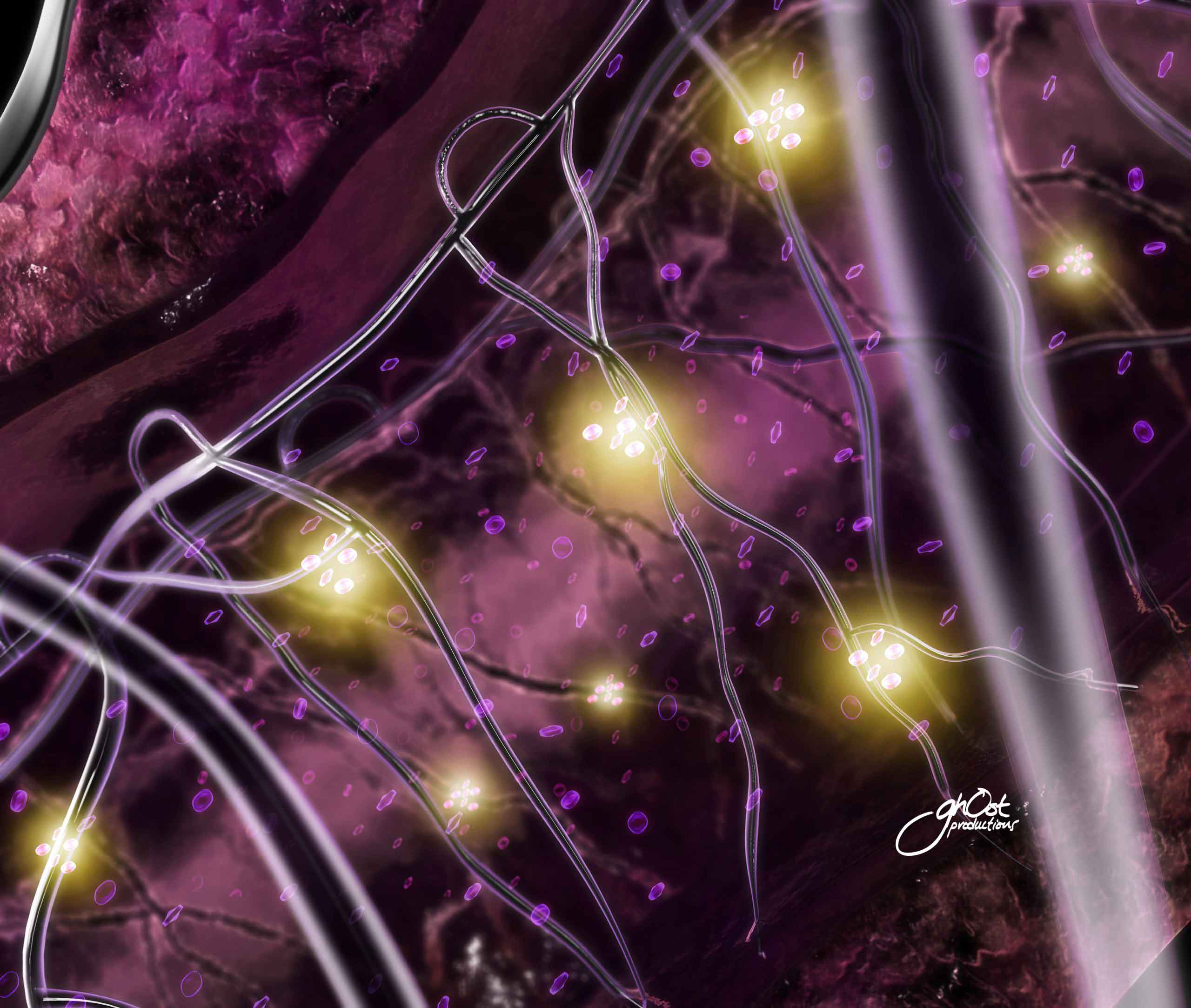 Shiseido, skincare, beauty, technology, ingredients, creams, serums, nourish, protect, enhance, radiance, transformative, flawless complexion, science, innovative, luxurious, medical aesthetics, dermatology, plastic surgery, cosmetic medicine, anti-aging, skincare specialists, beauty experts, estheticians, skincare enthusiasts.