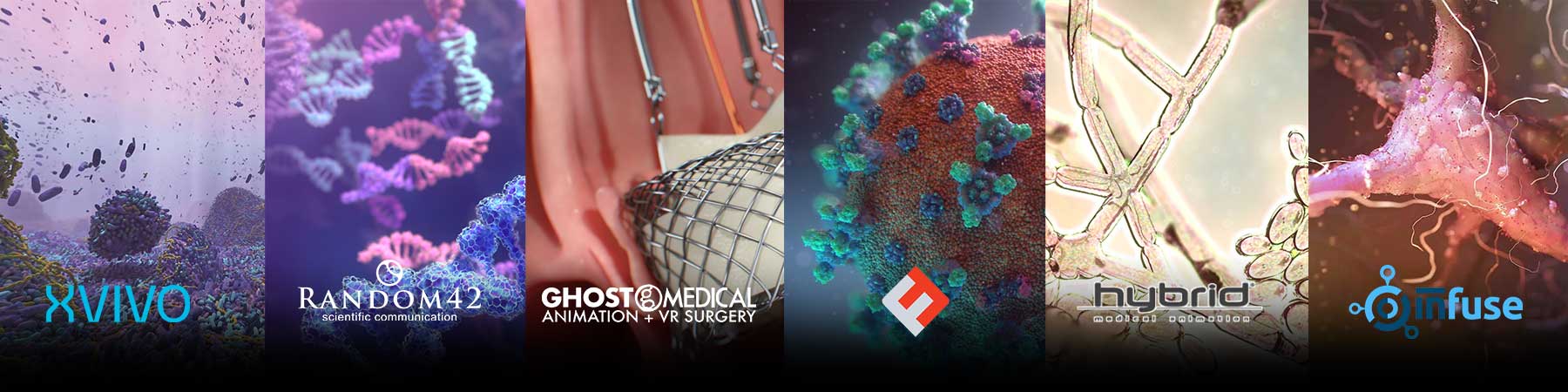 The Best Medical Animation Studios in 2023