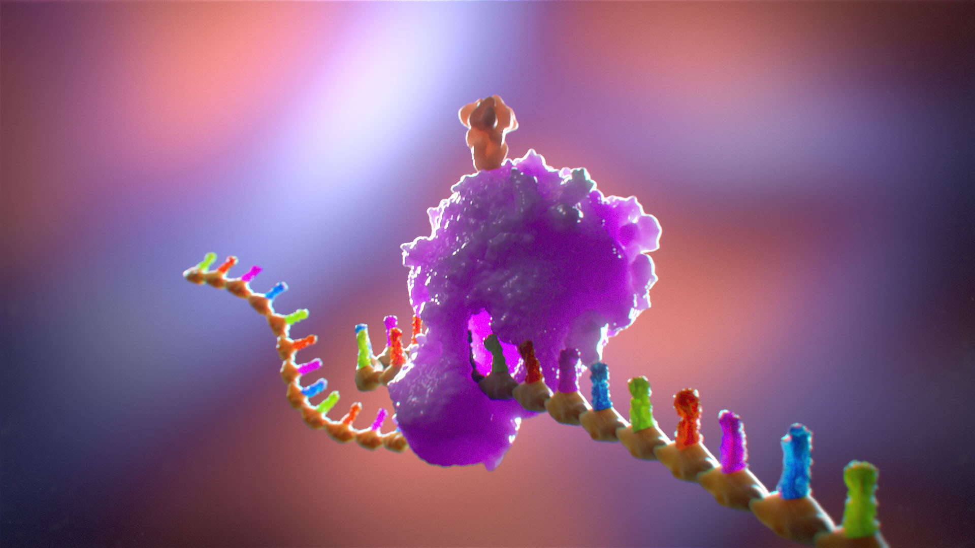 medical illustration Showcasing an artistic representation of an mRNA strand inside a cell, with ribosomes translating the mRNA and assembling spike proteins on the cell surface