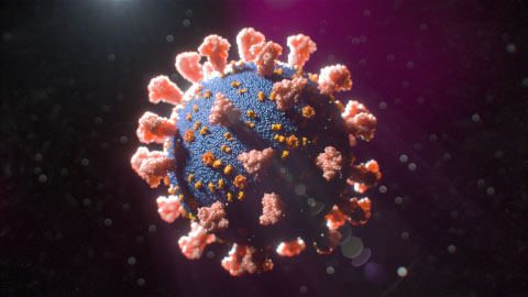 COVID-19, SARS-CoV-2, Coronavirus, Virus structure, Spike proteins, Enveloped virus, RNA virus, Electron microscopy, X-ray crystallography, Cryo-electron tomography, Protein analysis, Ultrastructure, Three-dimensional arrangement, Host cell membrane, Crown-like structure, Nanometers, Research methods, Global collaboration, Protein sequencing, Diagnostic tests, Vaccines, Antiviral therapies.