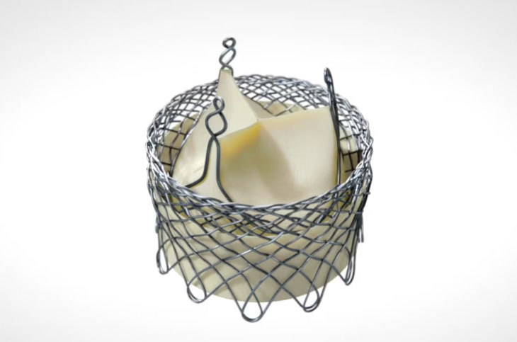 HLT Meridian TAVR Valve | 2019 Medical Device Animation