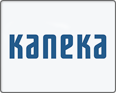 Kaneka Neurovascular USA